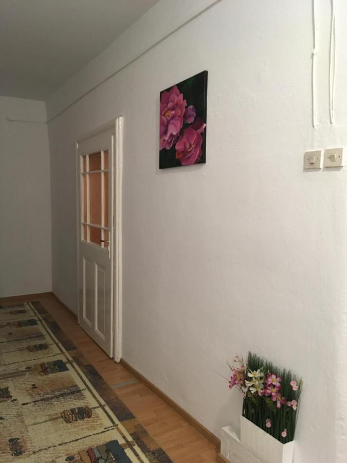 דירות סיביו House Centrul Istoric Ll מראה חיצוני תמונה